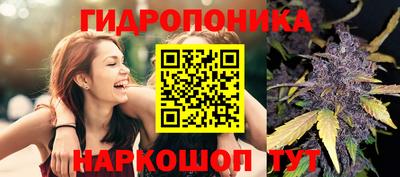 ECSTASY Можга