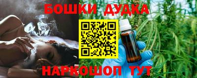 индика Можайск