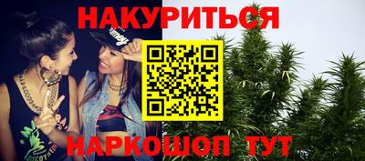 индика Можайск