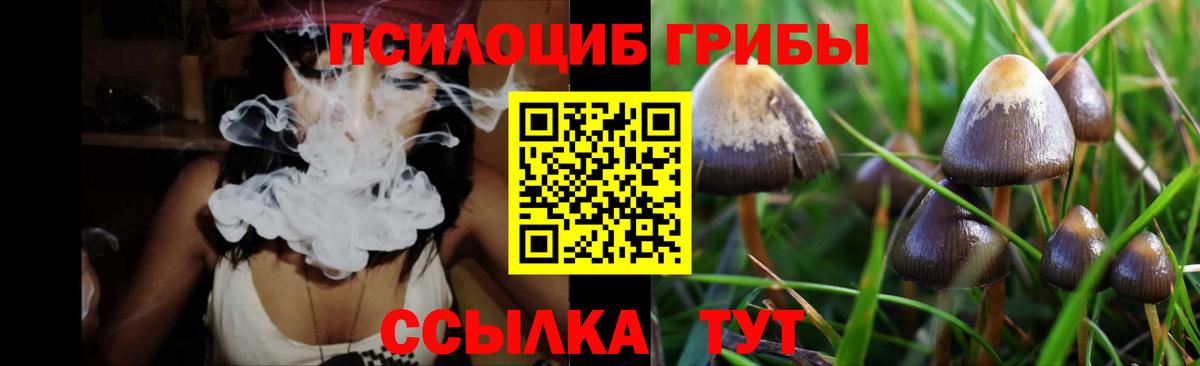 Псилоцибиновые грибы MAGIC MUSHROOMS Губкинский